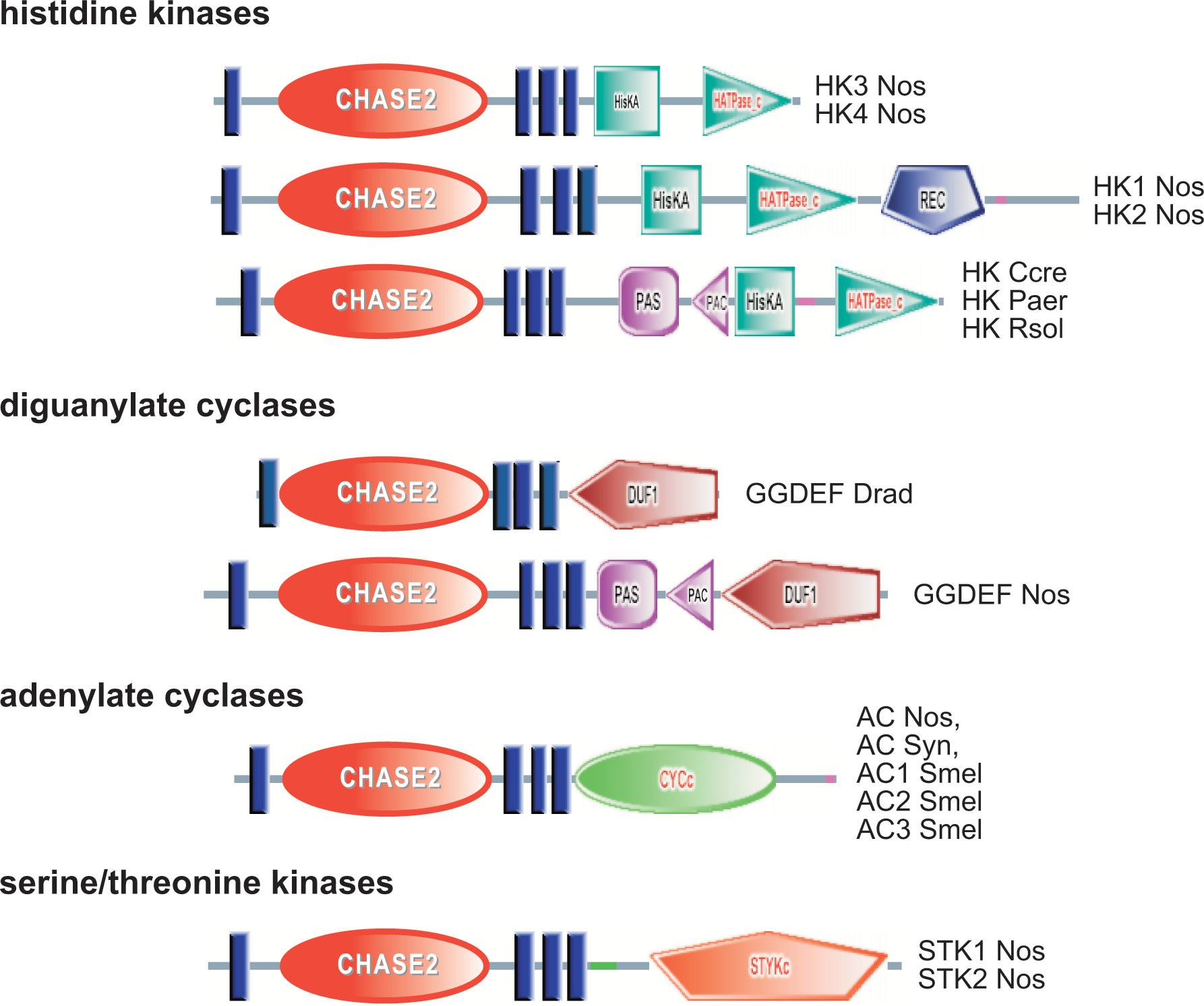 Common Sensory Domains In Transmembrane Receptors For Diverse Signal ...